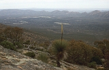 718_Flinders Ranges